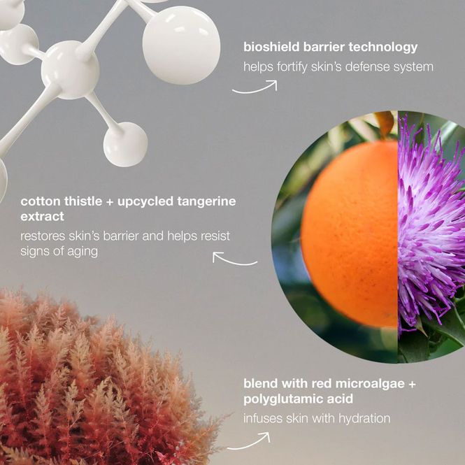 Hovedbilde dynamic skin strengthening serum