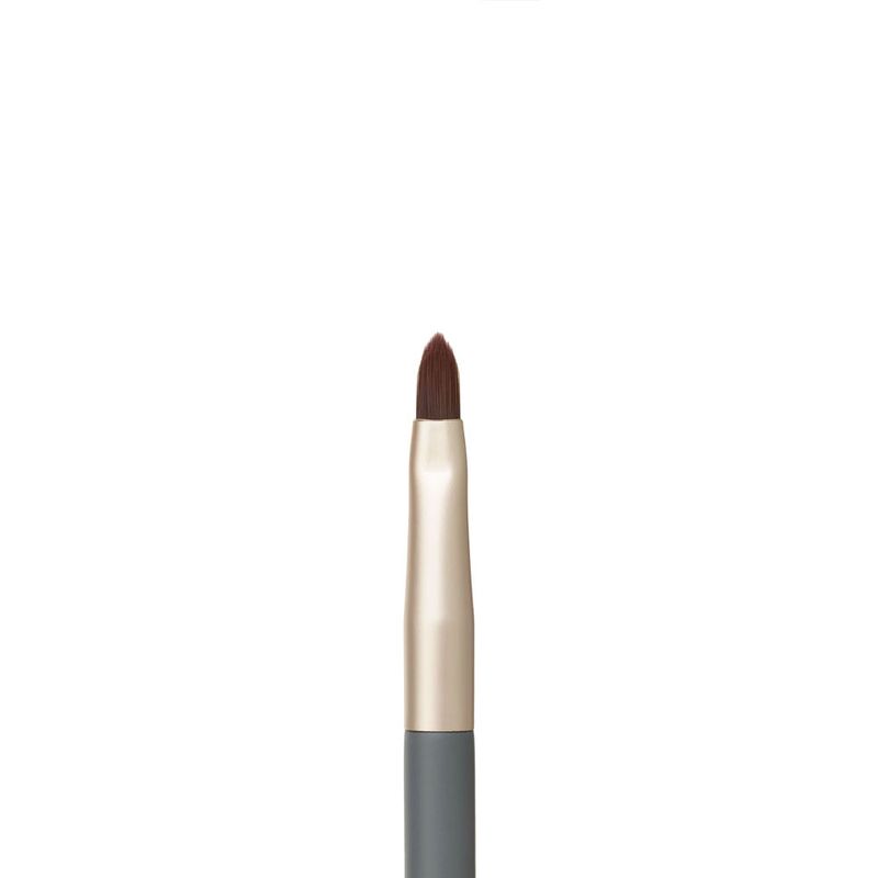 Lip Brush